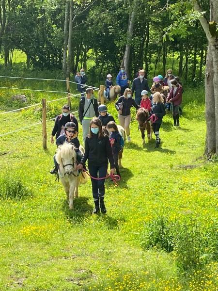 Cours d'équitation collectifs