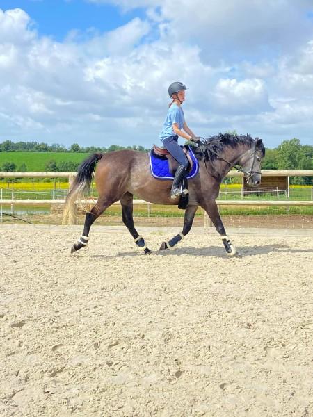 Cours d'équitation individuel