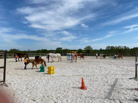 Cours de poney